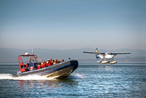 Vancouver: Seaplane to Victoria and Whale Watching Day Trip