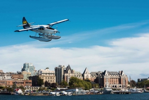 Vancouver: Seaplane to Victoria and Whale Watching Day Trip