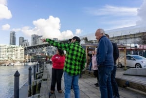 Vancouver: Stadens höjdpunkter och Vancouver Lookout Tour