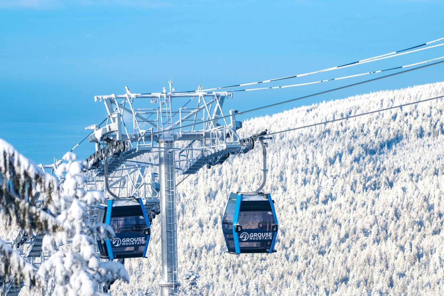 Vancouver: excursão para grupos pequenos com almoço Capilano & Grouse Mtn