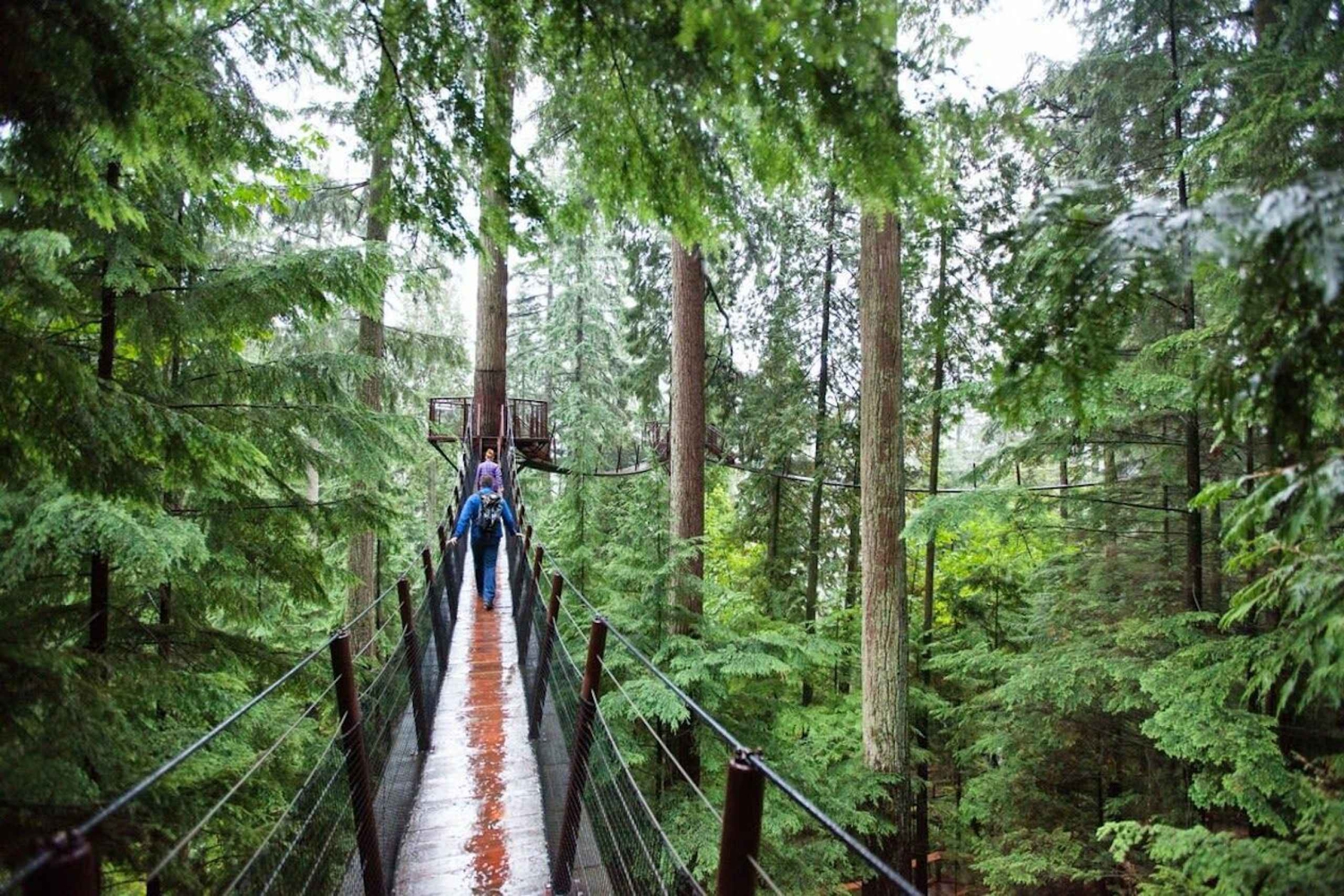 Vancouver: excursão para grupos pequenos com almoço Capilano & Grouse Mtn