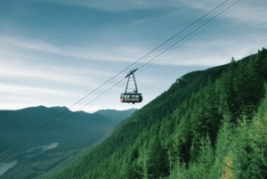 Vancouver: Small Group Tour w/Capilano & Grouse Mtn Lunch