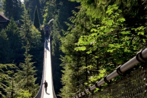 Vancouver: Small Group Tour w/Capilano & Grouse Mtn Lunch