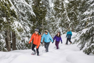 Vancouver: excursão para grupos pequenos com almoço Capilano & Grouse Mtn