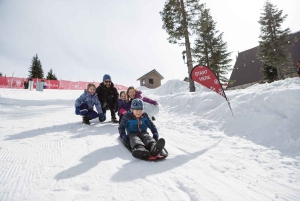 Vancouver: excursão para grupos pequenos com almoço Capilano & Grouse Mtn