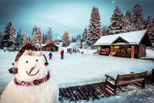 Vancouver: excursão para grupos pequenos com almoço Capilano & Grouse Mtn