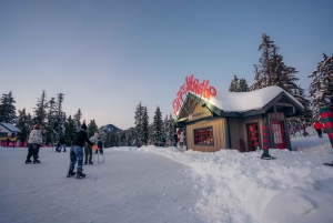 Vancouver: excursão para grupos pequenos com almoço Capilano & Grouse Mtn