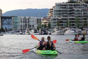 Vancouver: Smooth Classic Kayak Tour