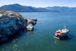 Vancouver: Snorkel, Kayak, and Seal Adventure Boat Tour