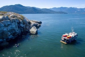 Vancouver: Snorkel, Kayak, and Seal Adventure Boat Tour