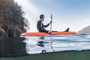 Vancouver: Snorkel, Kayak, and Seal Adventure Boat Tour