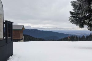 Vancouver, Squamish, Cypress Mountain Day Tour