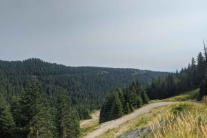 Vancouver, Squamish, Cypress Mountain-dagtour