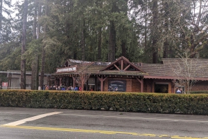 Vancouver, Squamish, Cypress Mountain-dagtour