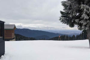 Vancouver, Squamish, Cypress Mountain-dagtour