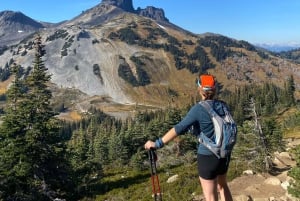 Vancouver/Squamish: Garibaldi Park Panorama Ridge Hike