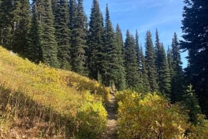 Vancouver/Squamish: Garibaldi Park Panorama Ridge Hike