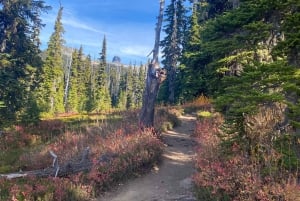 Vancouver/Squamish: Garibaldi Park Panorama Ridge Hike