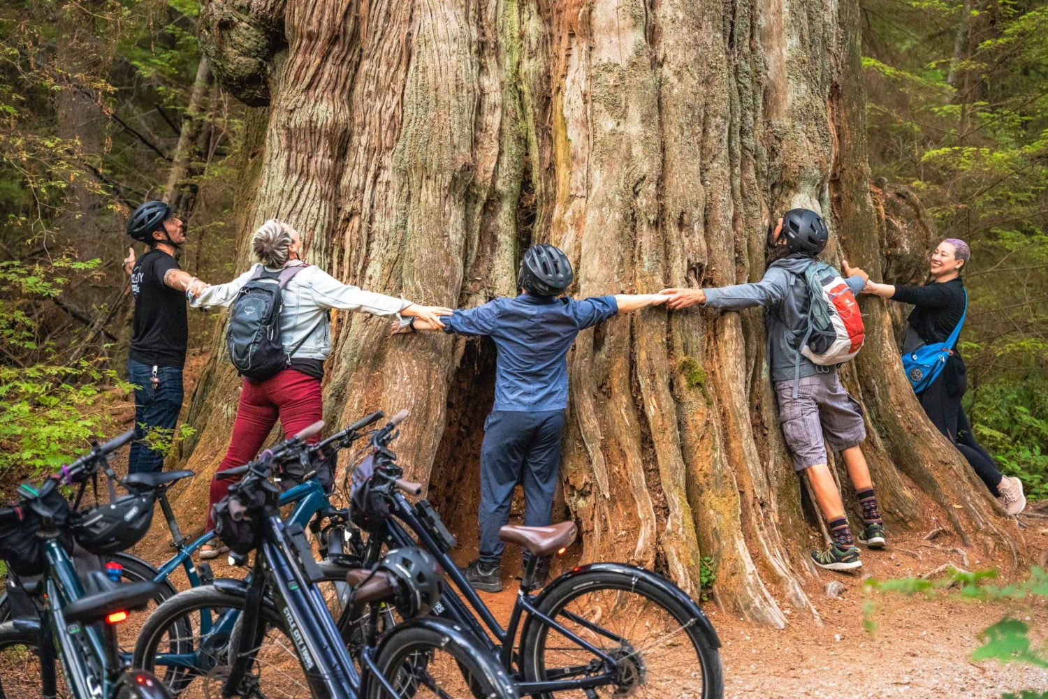 Vancouver: Stanley Park Bicycle Tour