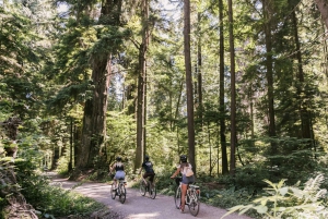 Vancouver: Stanley Park Polkupyöräretki