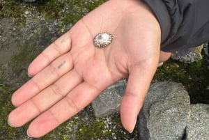 Vancouver: Stanley Park, el mar de Salish y yo