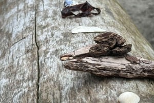 Vancouver: Stanley Park, el mar de Salish y yo