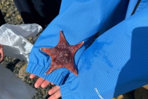 Vancouver: Stanley Park, el mar de Salish y yo