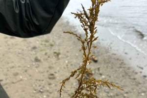 Vancouver: Stanley Park, el mar de Salish y yo
