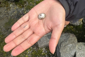 Vancouver: Stanley Park Salish Sea & Me
