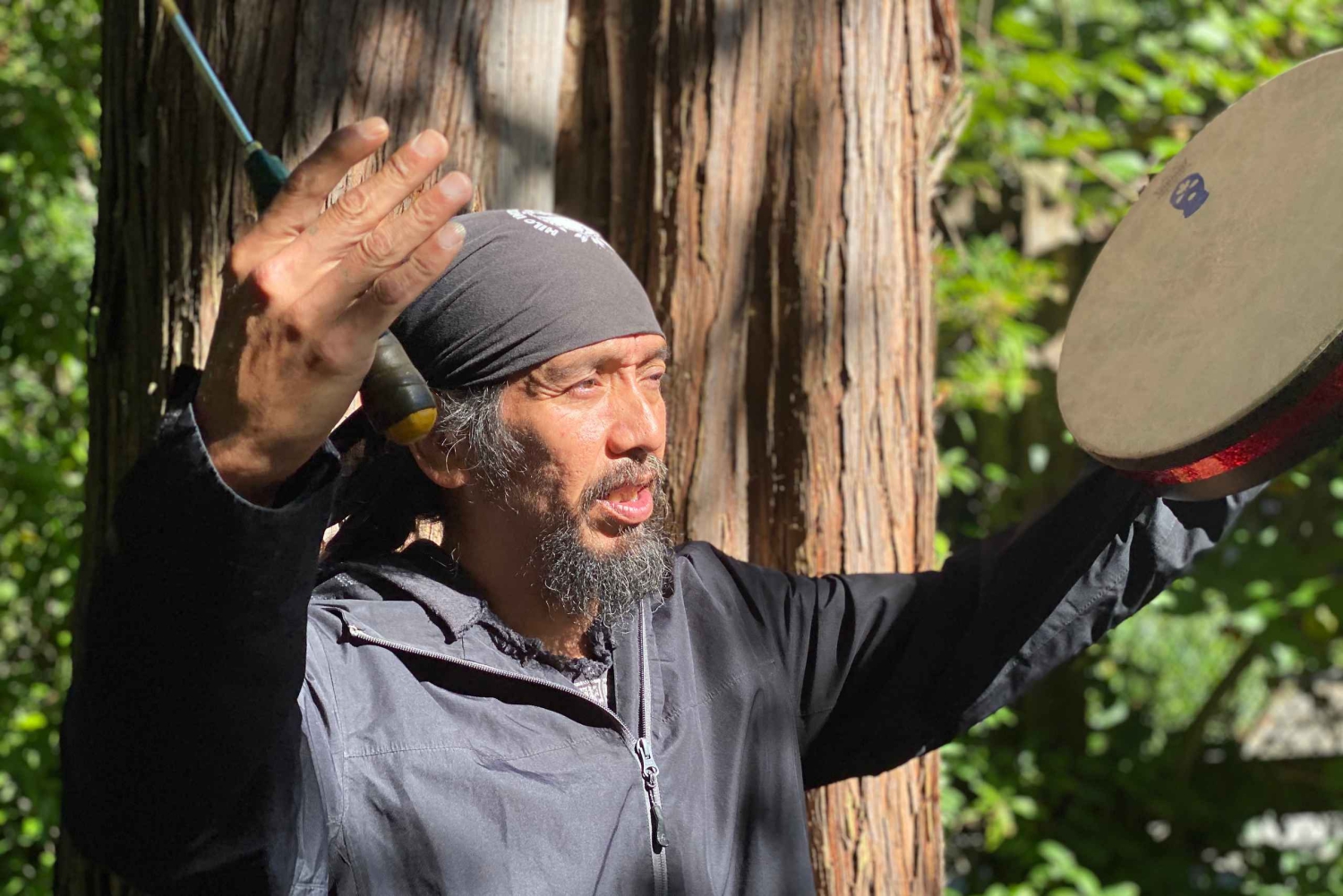 Vancouver: Stanley Park Talking Trees Tour