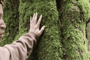 Vancouver: Stanley Park Talking Trees Tour