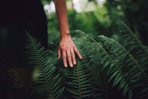 Vancouver: Stanley Park Talking Trees Tour