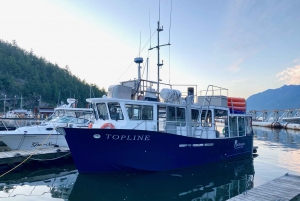 Vancouver: Sunset Boat Cruise with Complementary Bubbly