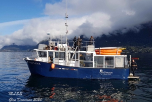 Vancouver: Sunset Boat Cruise with Complementary Bubbly