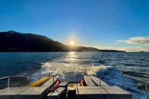 Vancouver: Sunset Boat Cruise with Complementary Bubbly