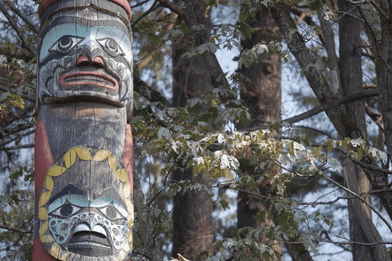 Vancouver: Totem parlanti Stanley Park