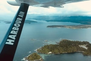 Ванкувер: однодневная поездка в Викторию на гидросамолете и сады Бутчартов