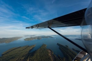 バンクーバーからウィスラーへの水上飛行機アドベンチャー、バスで帰りの送迎付き