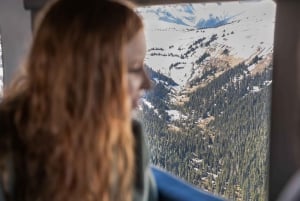 バンクーバーからウィスラーへの水上飛行機アドベンチャー、バスで帰りの送迎付き