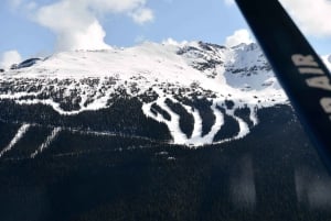 バンクーバーからウィスラーへの水上飛行機アドベンチャー、バスで帰りの送迎付き