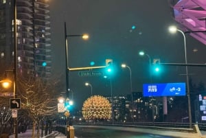 Kaupunkikierros + auto + Grandville Island + Queen Elizabeth / China T