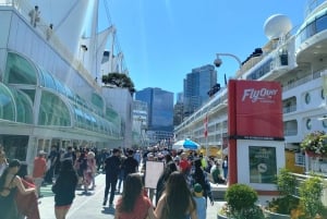 Vancouverin kaupunkikierros+VipCar+Stanley Park+ChinaTown/Pienryhmässä