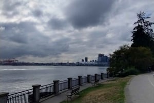 Vancouverin kaupunkikierros+VipCar+Stanley Park+ChinaTown/Pienryhmässä