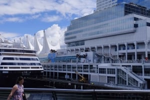 Vancouverin kaupunkikierros+VipCar+Stanley Park+ChinaTown/Pienryhmässä