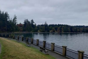 Vancouverin kaupunkikierros+VipCar+Stanley Park+ChinaTown/Pienryhmässä