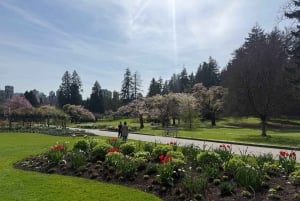 Vancouverin kaupunkikierros+VipCar+Stanley Park+ChinaTown/Pienryhmässä