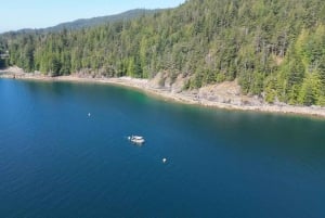 Tour panoramico in barca della Riserva della Biosfera UNESCO di Vancouver