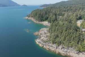 Tour panoramico in barca della Riserva della Biosfera UNESCO di Vancouver