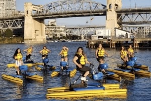 Vancouver: Water Bike Rental in False Creek