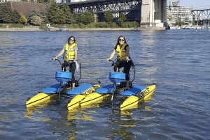 Vancouver: Water Bike Rental in False Creek